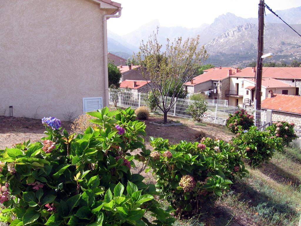Terrasse De Malbeccu Vila Casamaccioli Quarto foto