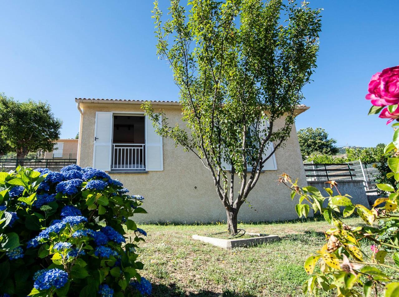 Terrasse De Malbeccu Vila Casamaccioli Exterior foto